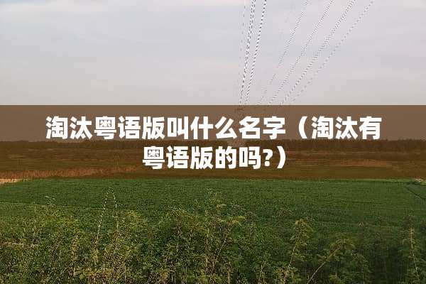 淘汰粤语版叫什么名字（淘汰有粤语版的吗?）