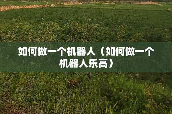 如何做一个机器人（如何做一个机器人乐高）