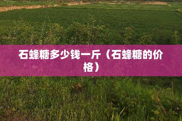 石蜂糖多少钱一斤（石蜂糖的价格）