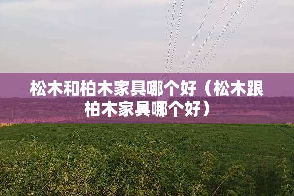 松木和柏木家具哪个好（松木跟柏木家具哪个好）