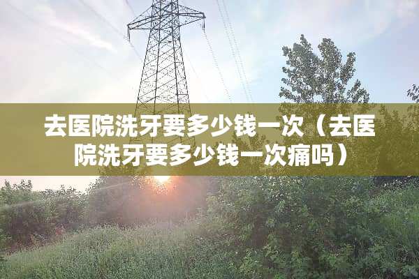 去医院洗牙要多少钱一次（去医院洗牙要多少钱一次痛吗）