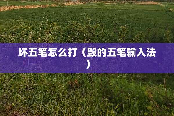 坏五笔怎么打（毁的五笔输入法）