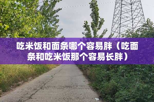 吃米饭和面条哪个容易胖（吃面条和吃米饭那个容易长胖）
