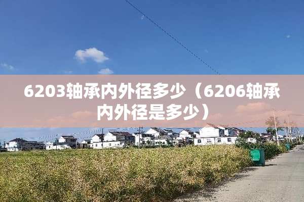 6203轴承内外径多少（6206轴承内外径是多少）
