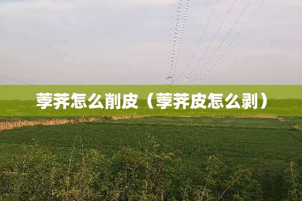 荸荠怎么削皮（荸荠皮怎么剥）