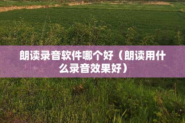 朗读录音软件哪个好（朗读用什么录音效果好）