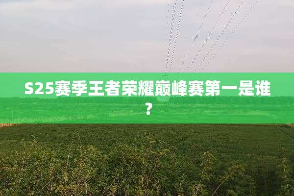 S25赛季王者荣耀巅峰赛第一是谁？