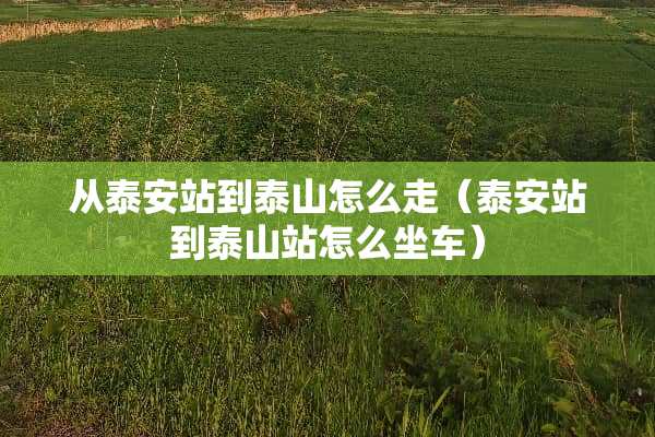 从**站到泰山怎么走（**站到泰山站怎么坐车）