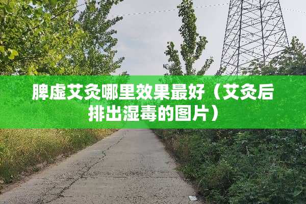 脾虚艾灸哪里效果最好（艾灸后排出湿毒的图片）