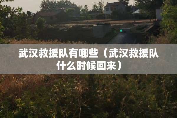武汉救援队有哪些（武汉救援队什么时候回来）