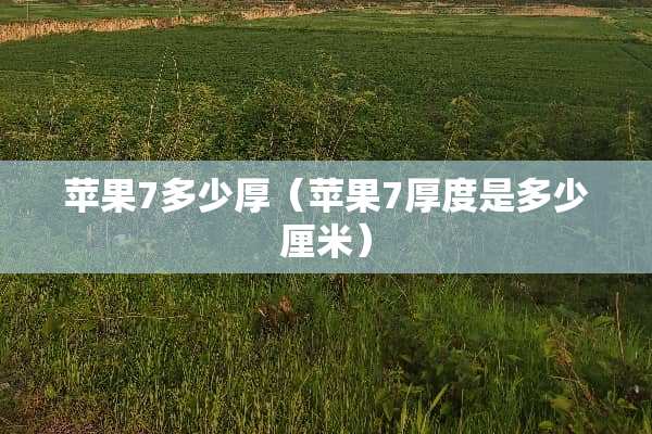 苹果7多少厚（苹果7厚度是多少厘米）