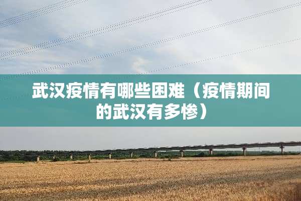 武汉疫情有哪些困难（疫情期间的武汉有多惨）