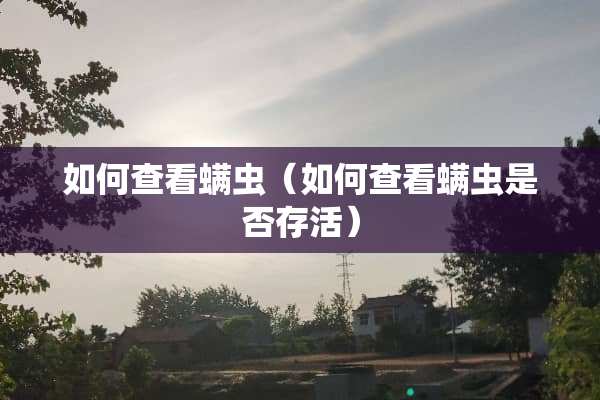 如何查看螨虫（如何查看螨虫是否存活）