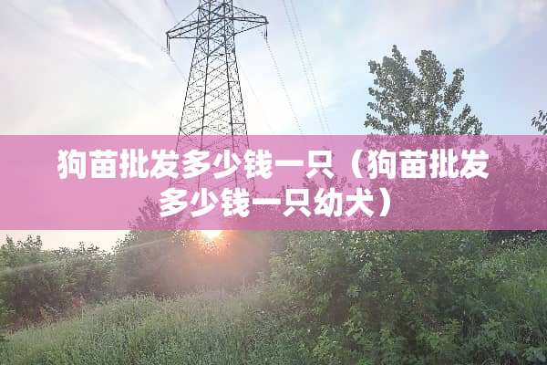 狗苗批发多少钱一只（狗苗批发多少钱一只幼犬）