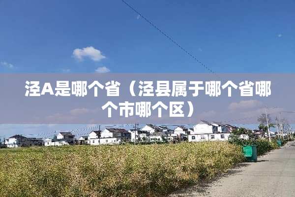泾A是哪个省（泾县属于哪个省哪个市哪个区）