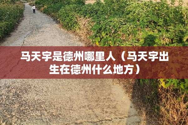 马天宇是德州哪里人（马天宇出生在德州什么地方）
