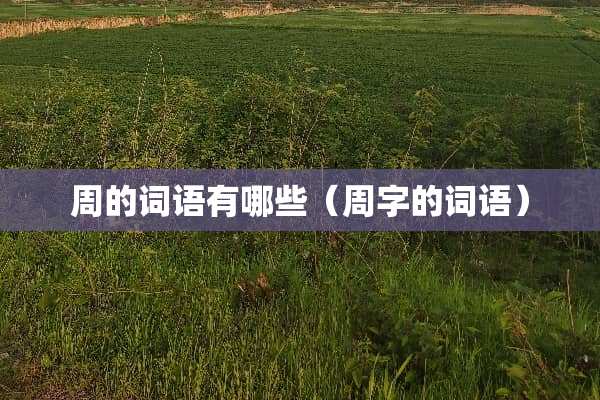 周的词语有哪些（周字的词语）