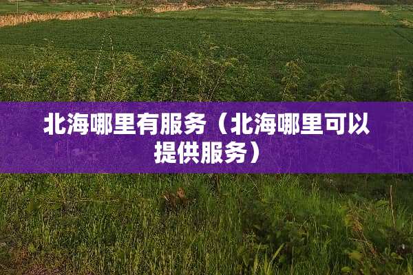 北海哪里有服务（北海哪里可以提供服务）