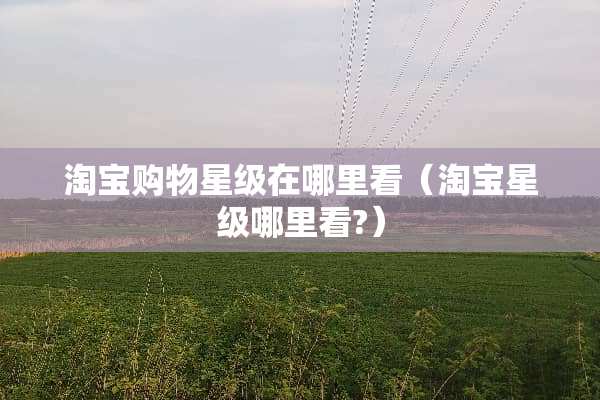 淘宝购物星级在哪里看（淘宝星级哪里看?）