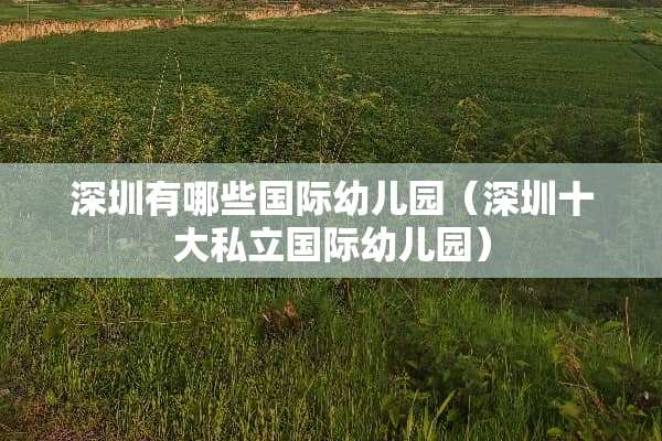 深圳有哪些国际幼儿园（深圳十大私立国际幼儿园）