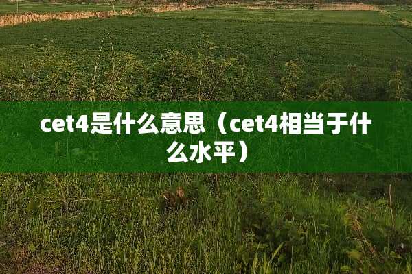cet4是什么意思（cet4相当于什么水平）