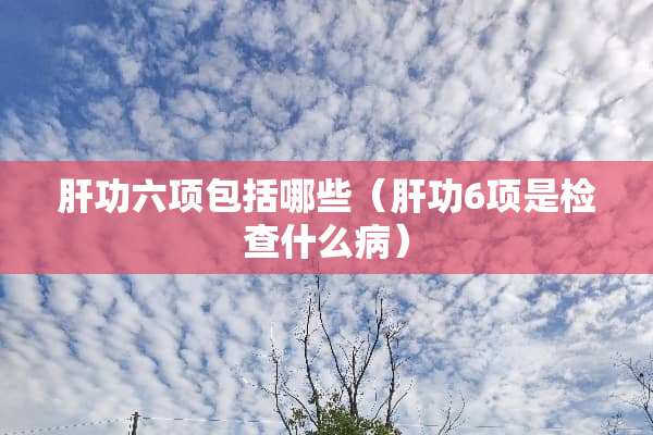 肝功六项包括哪些（肝功6项是检查什么病）