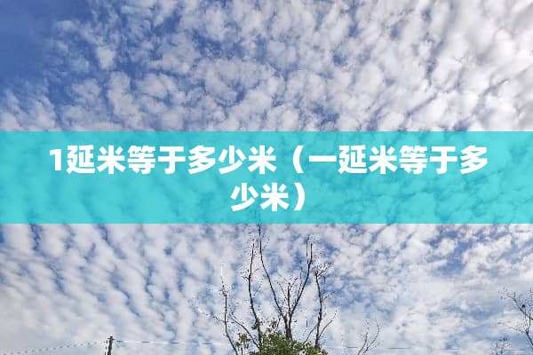 1延米等于多少米（一延米等于多少米）