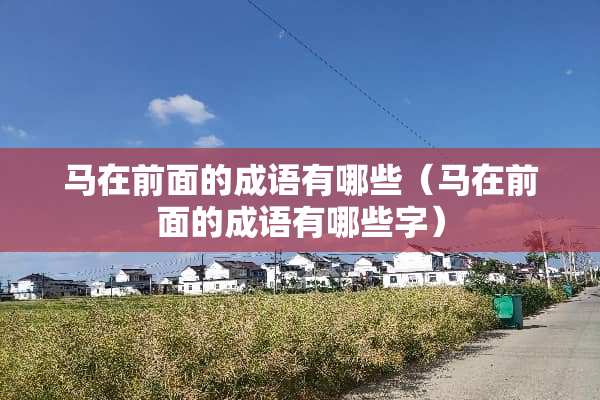 马在前面的成语有哪些（马在前面的成语有哪些字）