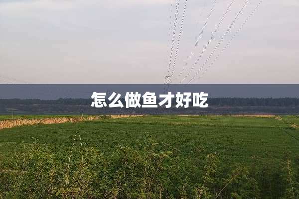 怎么做鱼才好吃