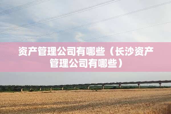 资产管理公司有哪些（长沙资产管理公司有哪些）
