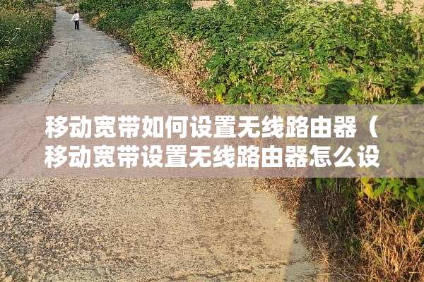 移动宽带如何设置无线路由器（移动宽带设置无线路由器怎么设置才不会转换IP）