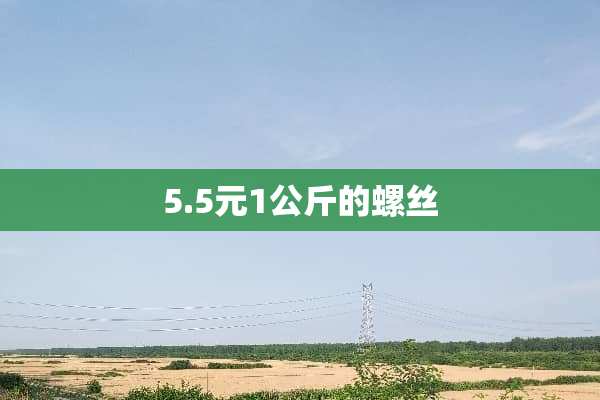 5.5元1公斤的螺丝