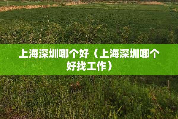 上海深圳哪个好（上海深圳哪个好找工作）