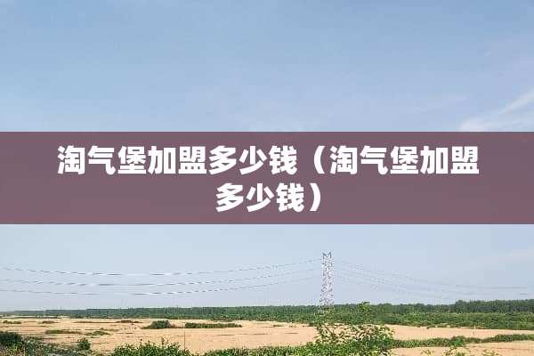 淘气堡加盟多少钱（淘气堡加盟多少钱）