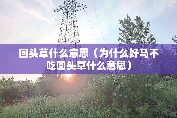 回头草什么意思（为什么好马不吃回头草什么意思）