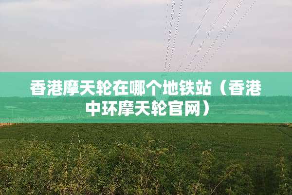 香港摩天轮在哪个地铁站（香港中环摩天轮官网）