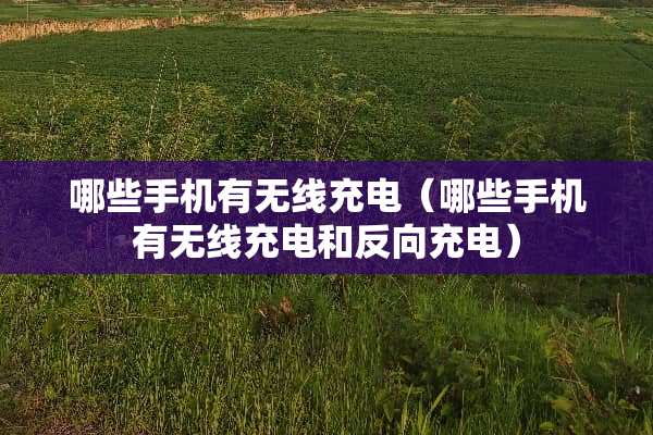 哪些手机有无线充电（哪些手机有无线充电和反向充电）
