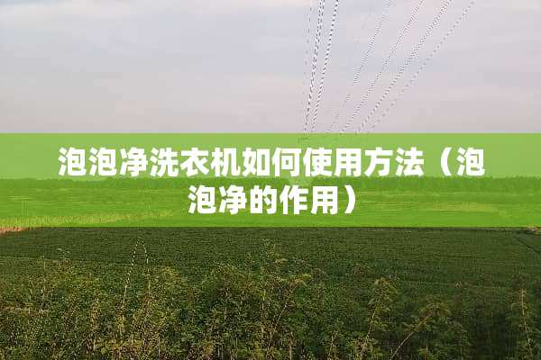 泡泡净洗衣机如何使用方法（泡泡净的作用）