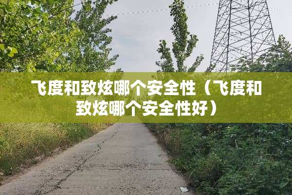 飞度和致炫哪个安全性（飞度和致炫哪个安全性好）
