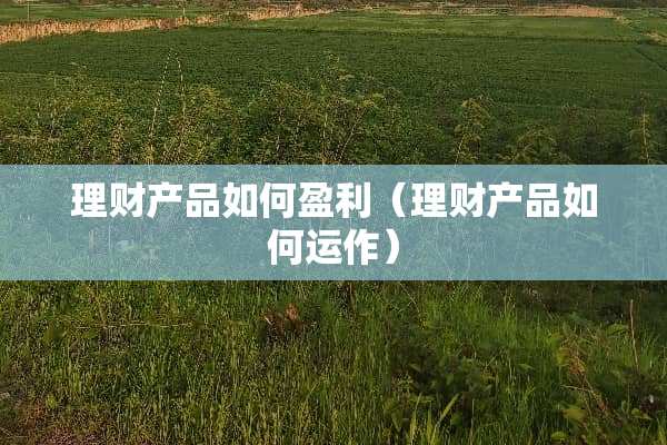 理财产品如何盈利（理财产品如何运作）