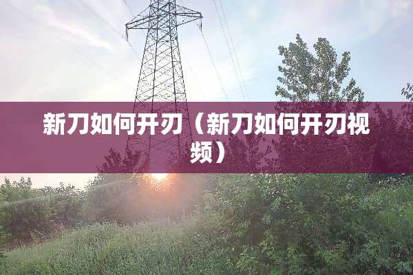 新刀如何**（新刀如何**视频）