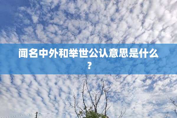 闻名中外和举世公认意思是什么？