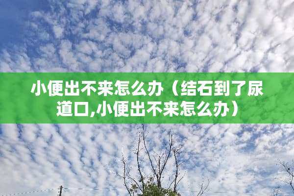 小便出不来怎么办（结石到了尿道口,小便出不来怎么办）