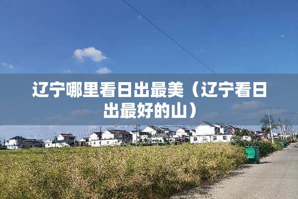 辽宁哪里看日出最美（辽宁看日出最好的山）