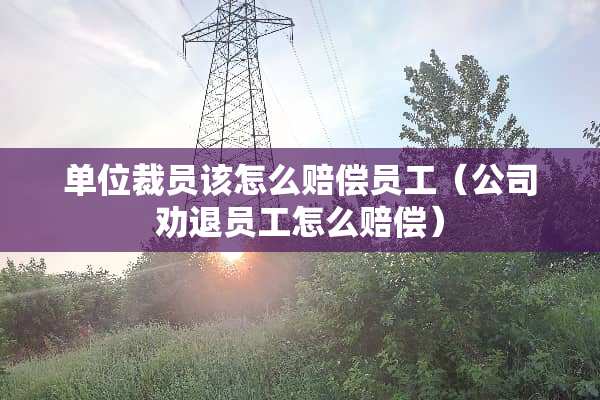 单位裁员该怎么赔偿员工（公司劝退员工怎么赔偿）