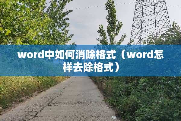 word中如何消除格式（word怎样去除格式）