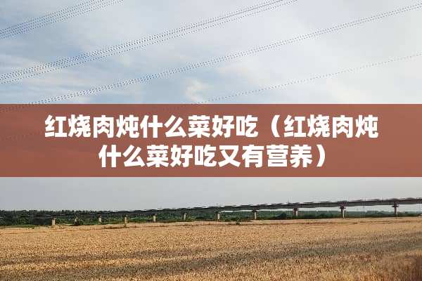 红烧肉炖什么菜好吃（红烧肉炖什么菜好吃又有营养）