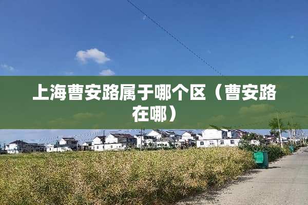 上海曹安路属于哪个区（曹安路在哪）