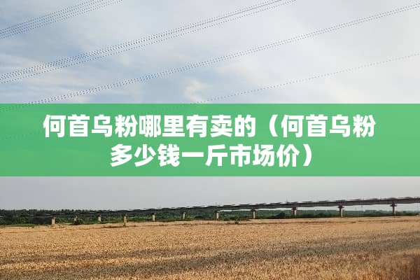 何首乌粉哪里有卖的（何首乌粉多少钱一斤市场价）
