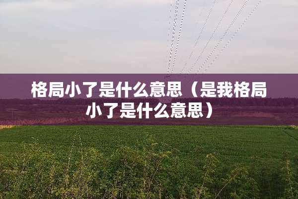 格局小了是什么意思（是我格局小了是什么意思）